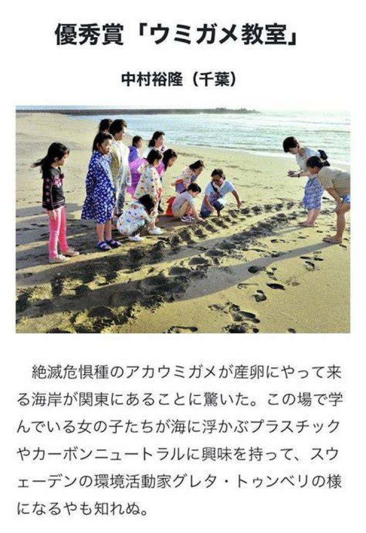 夜の砂浜で守る命——「一宮 ウミガメ を 見守る 会」の現場と記録